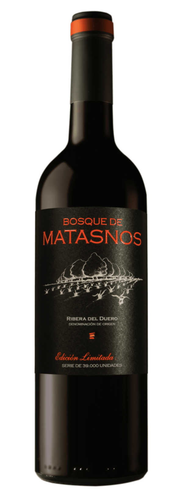 ED-LIMITADA-2019-SIN-SOMBRA bosque de matasnos ed.limitada