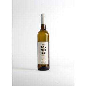finca palmeira